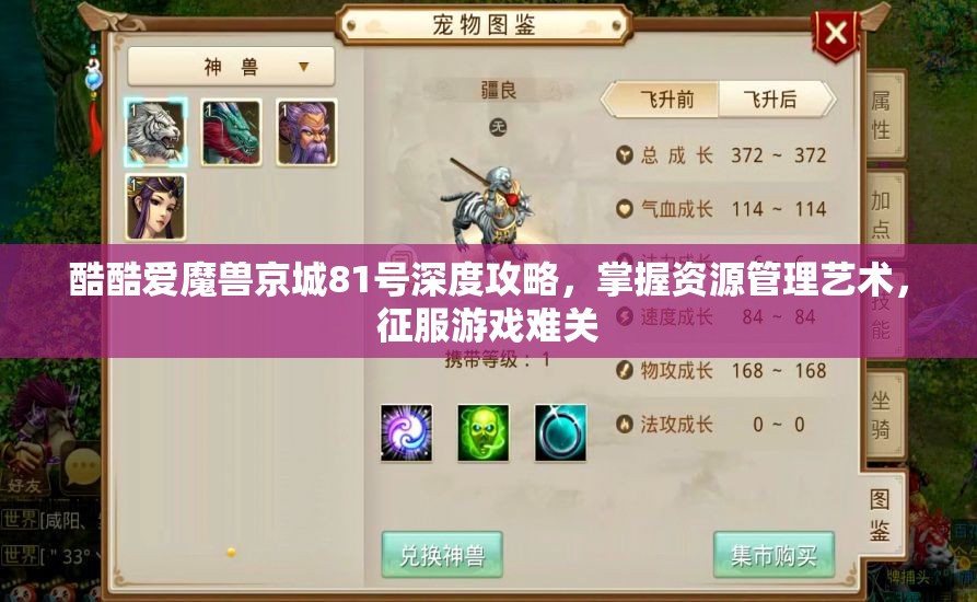 酷酷爱魔兽京城81号深度攻略，掌握资源管理艺术，征服游戏难关