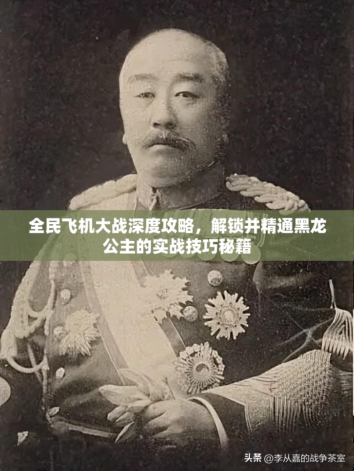全民飞机大战深度攻略，解锁并精通黑龙公主的实战技巧秘籍