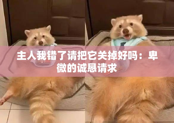 主人我错了请把它关掉好吗：卑微的诚恳请求
