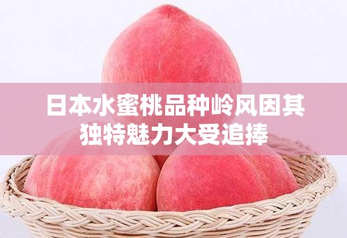 日本水蜜桃品种岭风因其独特魅力大受追捧