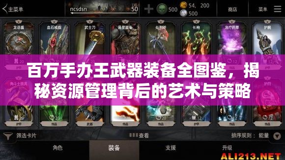 百万手办王武器装备全图鉴，揭秘资源管理背后的艺术与策略