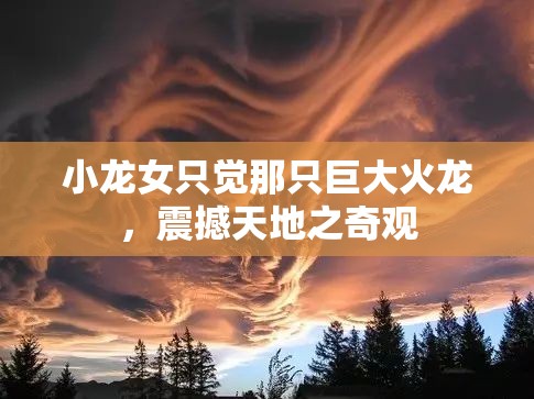 小龙女只觉那只巨大火龙，震撼天地之奇观