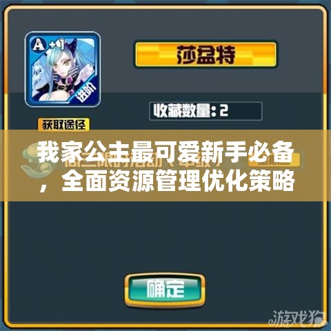 我家公主最可爱新手必备，全面资源管理优化策略与实战攻略