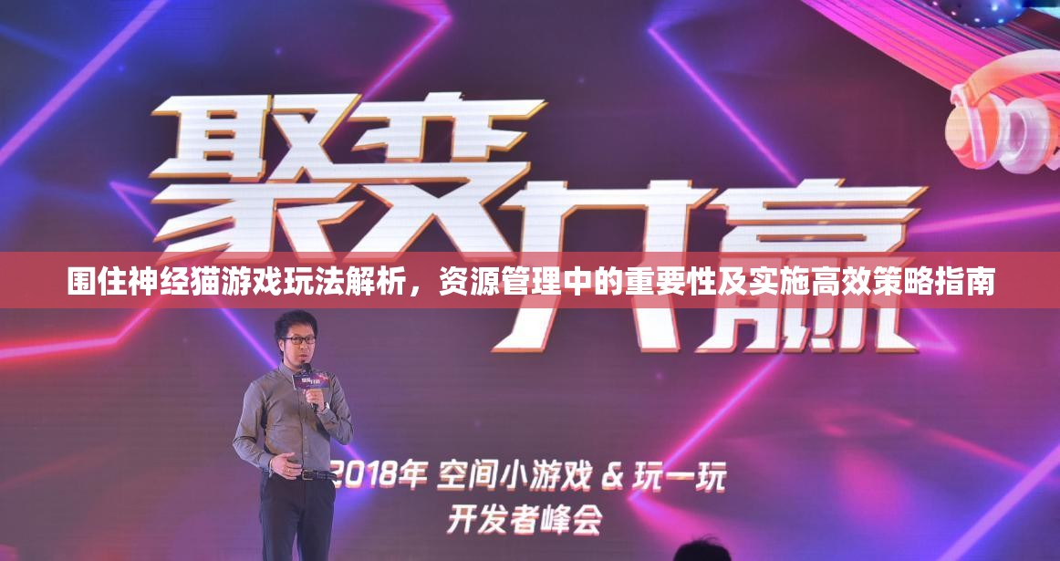 围住神经猫游戏玩法解析，资源管理中的重要性及实施高效策略指南