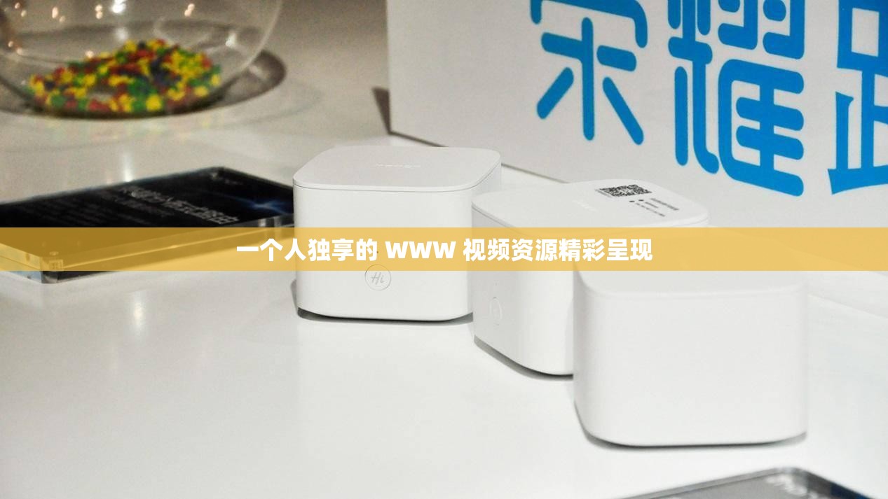 一个人独享的 WWW 视频资源精彩呈现