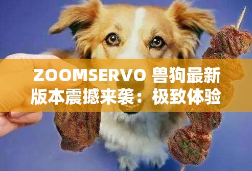 ZOOMSERVO 兽狗最新版本震撼来袭：极致体验超乎想象