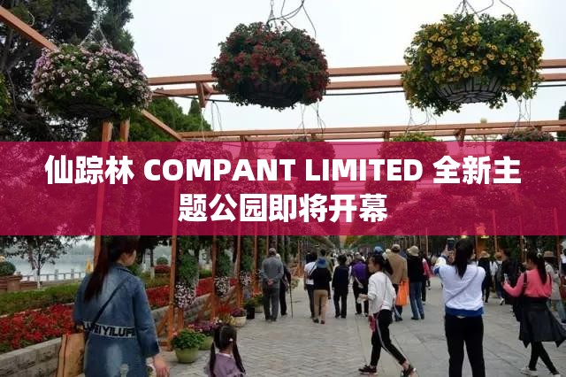 仙踪林 COMPANT LIMITED 全新主题公园即将开幕