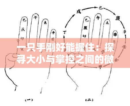 一只手刚好能握住：探寻大小与掌控之间的微妙平衡