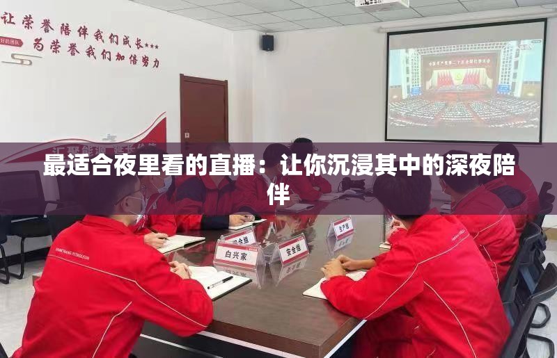 最适合夜里看的直播：让你沉浸其中的深夜陪伴