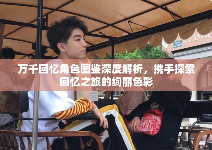 万千回忆角色图鉴深度解析，携手探索回忆之旅的绚丽色彩