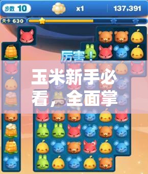 玉米新手必看，全面掌握轻松上手技巧，智享消除游戏的无限乐趣