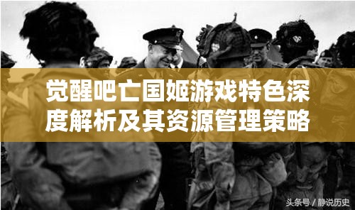 觉醒吧亡国姬游戏特色深度解析及其资源管理策略的重要性探讨