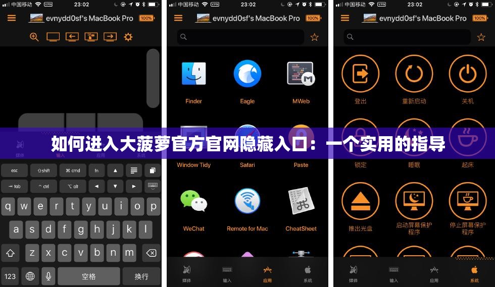 如何进入大菠萝官方官网隐藏入口：一个实用的指导