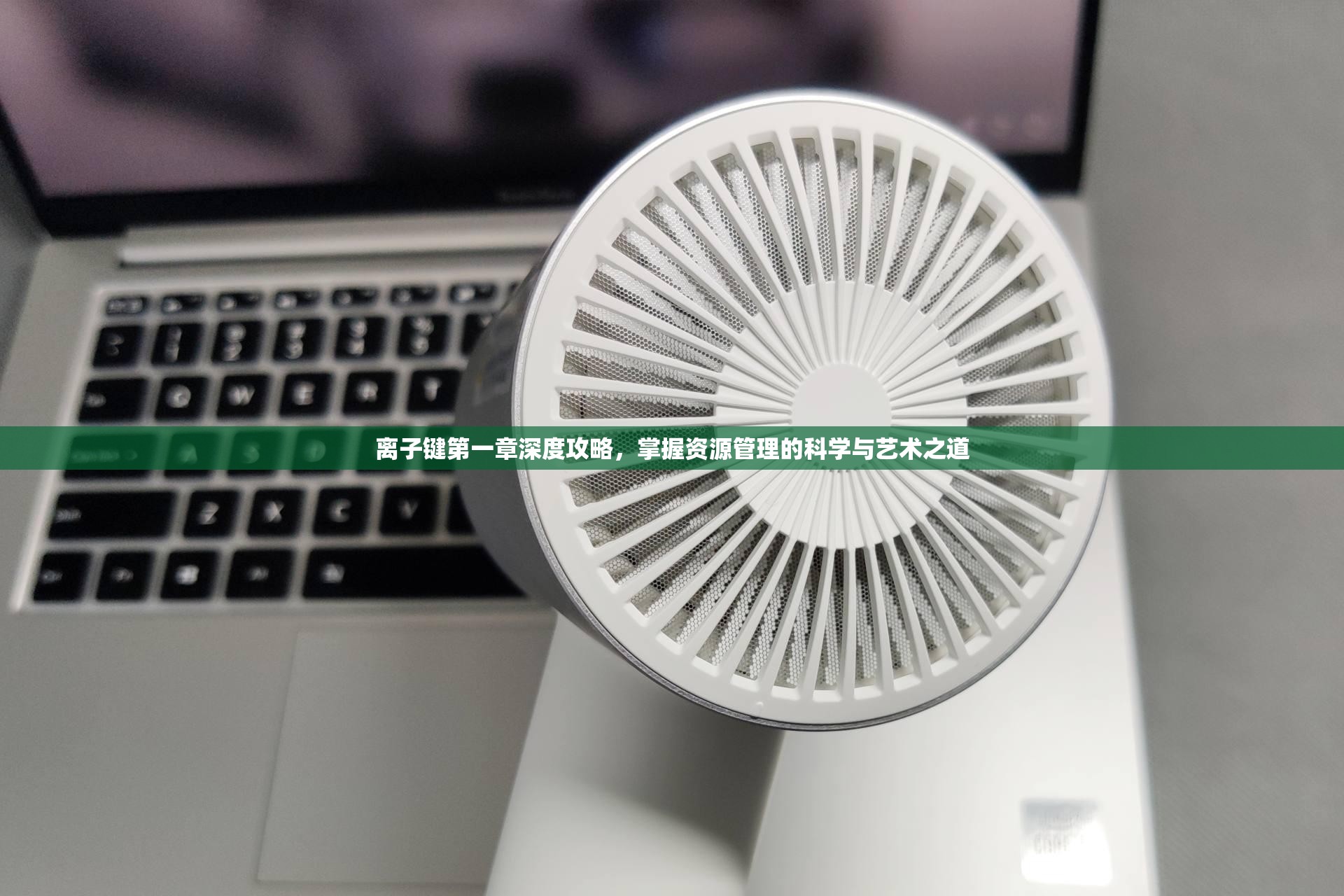 离子键第一章深度攻略，掌握资源管理的科学与艺术之道