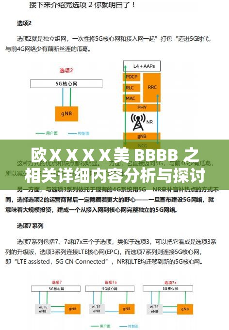 欧ⅩⅩⅩⅩ美 BBBB 之相关详细内容分析与探讨