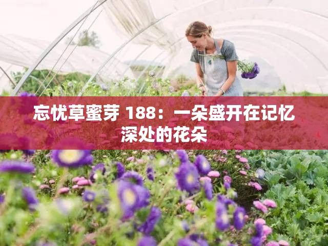 忘忧草蜜芽 188：一朵盛开在记忆深处的花朵