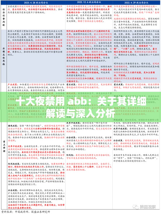 十大夜禁用 abb：关于其详细解读与深入分析