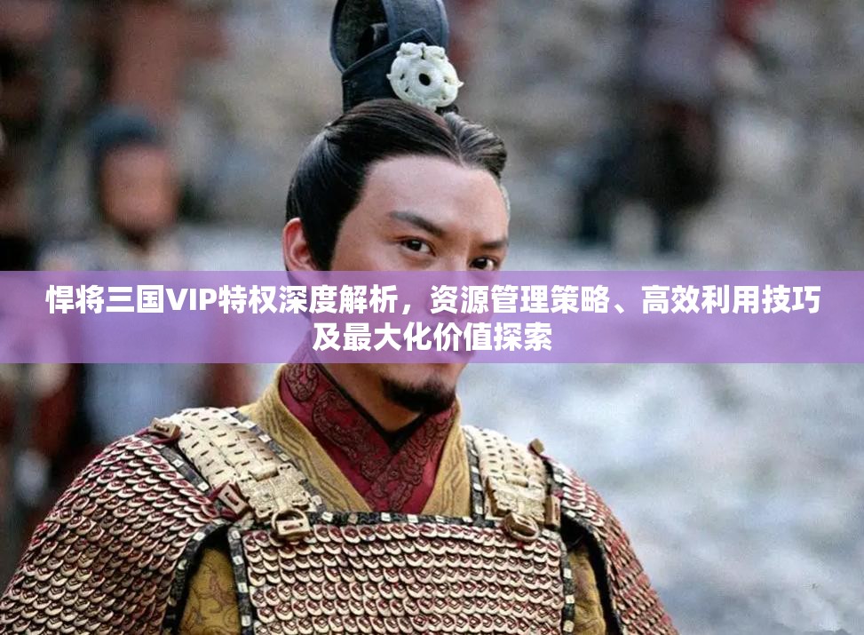 悍将三国VIP特权深度解析，资源管理策略、高效利用技巧及最大化价值探索
