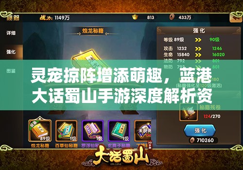 灵宠掠阵增添萌趣，蓝港大话蜀山手游深度解析资源管理艺术
