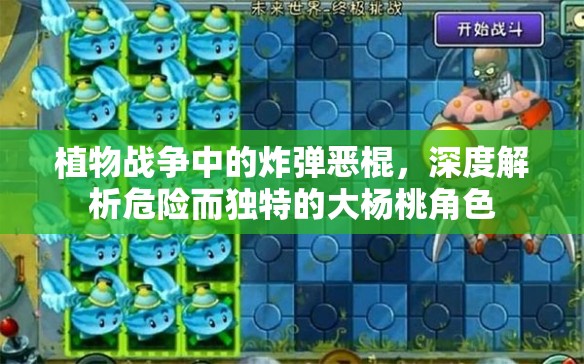 植物战争中的炸弹恶棍，深度解析危险而独特的大杨桃角色
