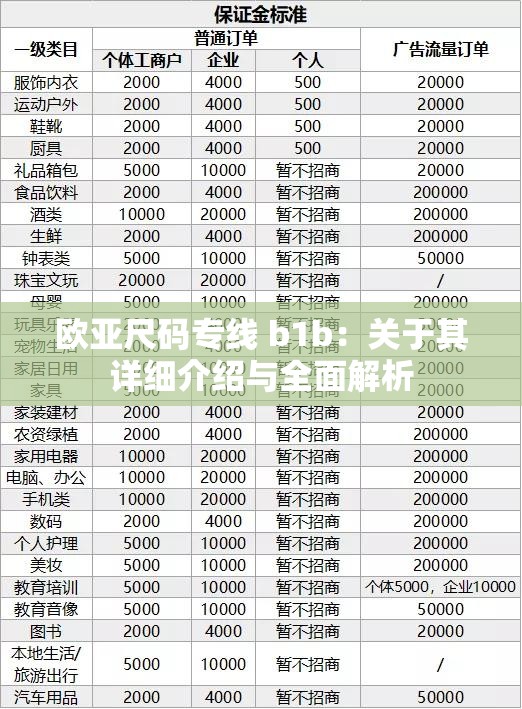 欧亚尺码专线 b1b：关于其详细介绍与全面解析
