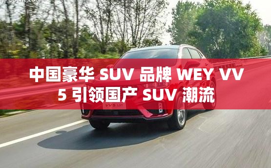 中国豪华 SUV 品牌 WEY VV5 引领国产 SUV 潮流
