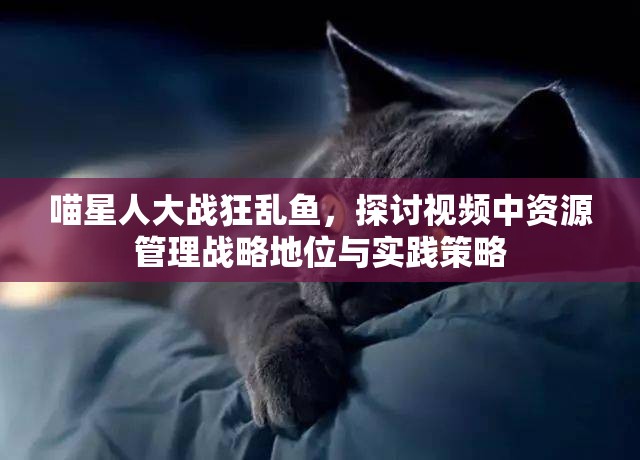 喵星人大战狂乱鱼，探讨视频中资源管理战略地位与实践策略
