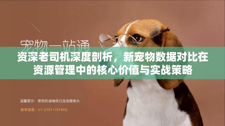 资深老司机深度剖析，新宠物数据对比在资源管理中的核心价值与实战策略