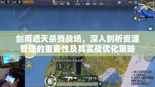 剑雨遮天杀戮战场，深入剖析资源管理的重要性及其实战优化策略