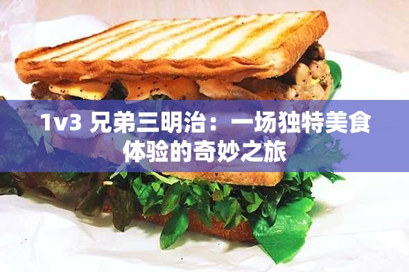 1v3 兄弟三明治：一场独特美食体验的奇妙之旅