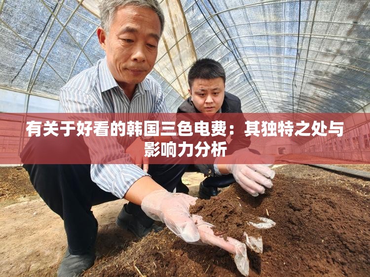 有关于好看的韩国三色电费：其独特之处与影响力分析