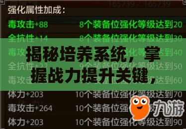 揭秘培养系统，掌握战力提升关键，深入解析资源管理的重要性与实战策略