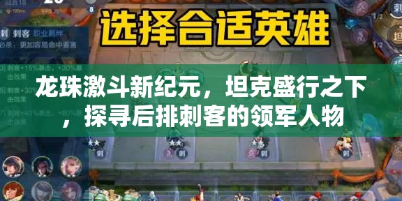 龙珠激斗新纪元，坦克盛行之下，探寻后排刺客的领军人物