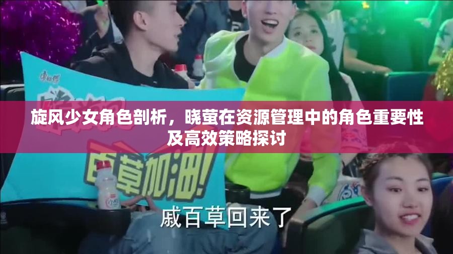 旋风少女角色剖析，晓萤在资源管理中的角色重要性及高效策略探讨