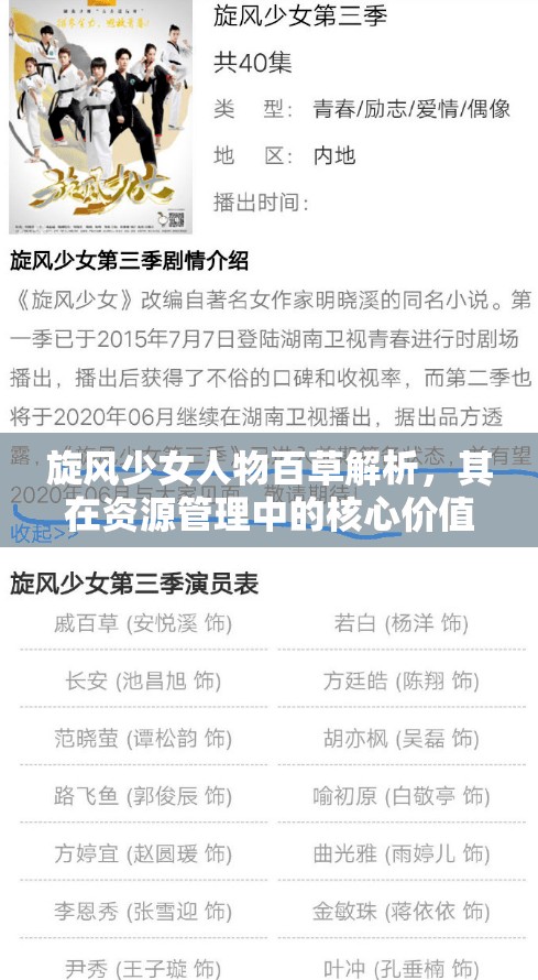 旋风少女人物百草解析，其在资源管理中的核心价值与高效运用策略探讨