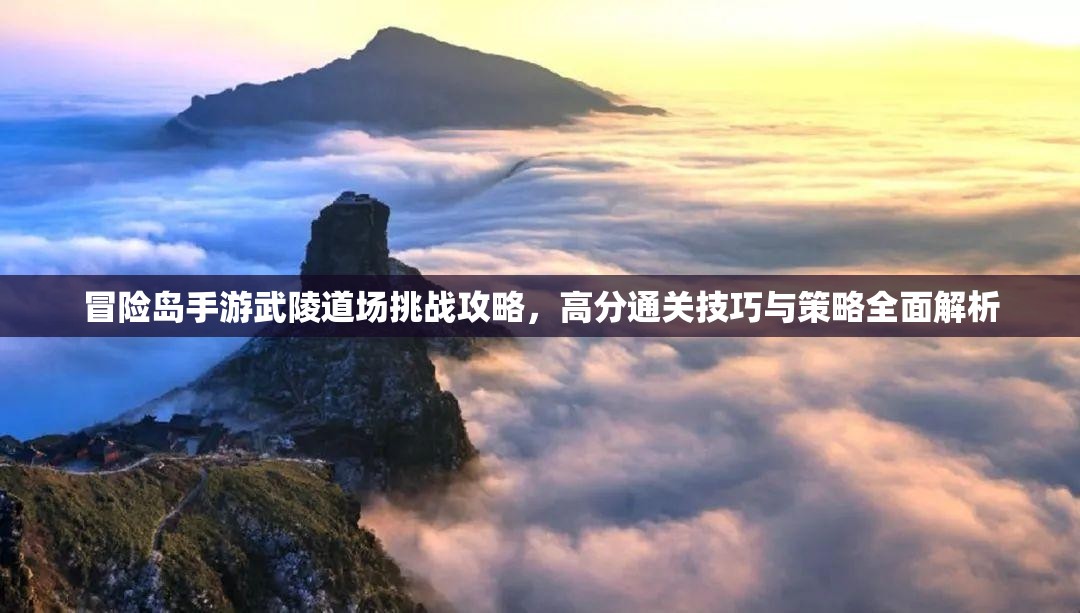 冒险岛手游武陵道场挑战攻略，高分通关技巧与策略全面解析