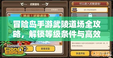 冒险岛手游武陵道场全攻略，解锁等级条件与高效战斗技巧深度剖析