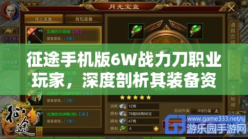 征途手机版6W战力刀职业玩家，深度剖析其装备资源管理的精湛艺术
