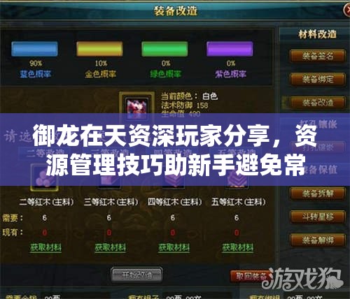 御龙在天资深玩家分享，资源管理技巧助新手避免常见误区与少走弯路