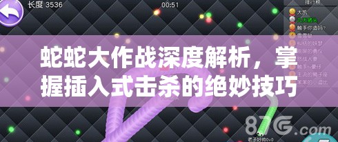 蛇蛇大作战深度解析，掌握插入式击杀的绝妙技巧与策略