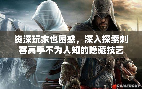 资深玩家也困惑，深入探索刺客高手不为人知的隐藏技艺