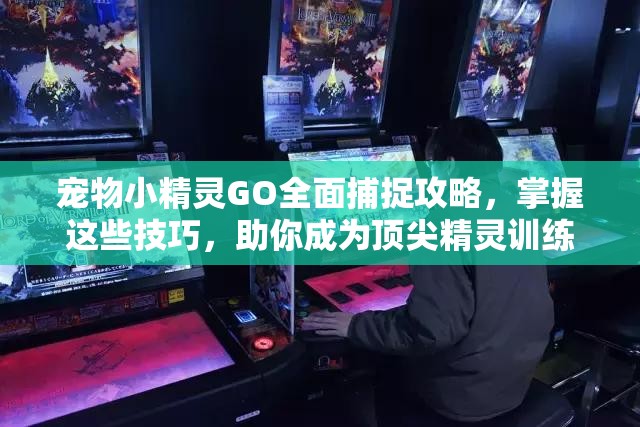 宠物小精灵GO全面捕捉攻略，掌握这些技巧，助你成为顶尖精灵训练师