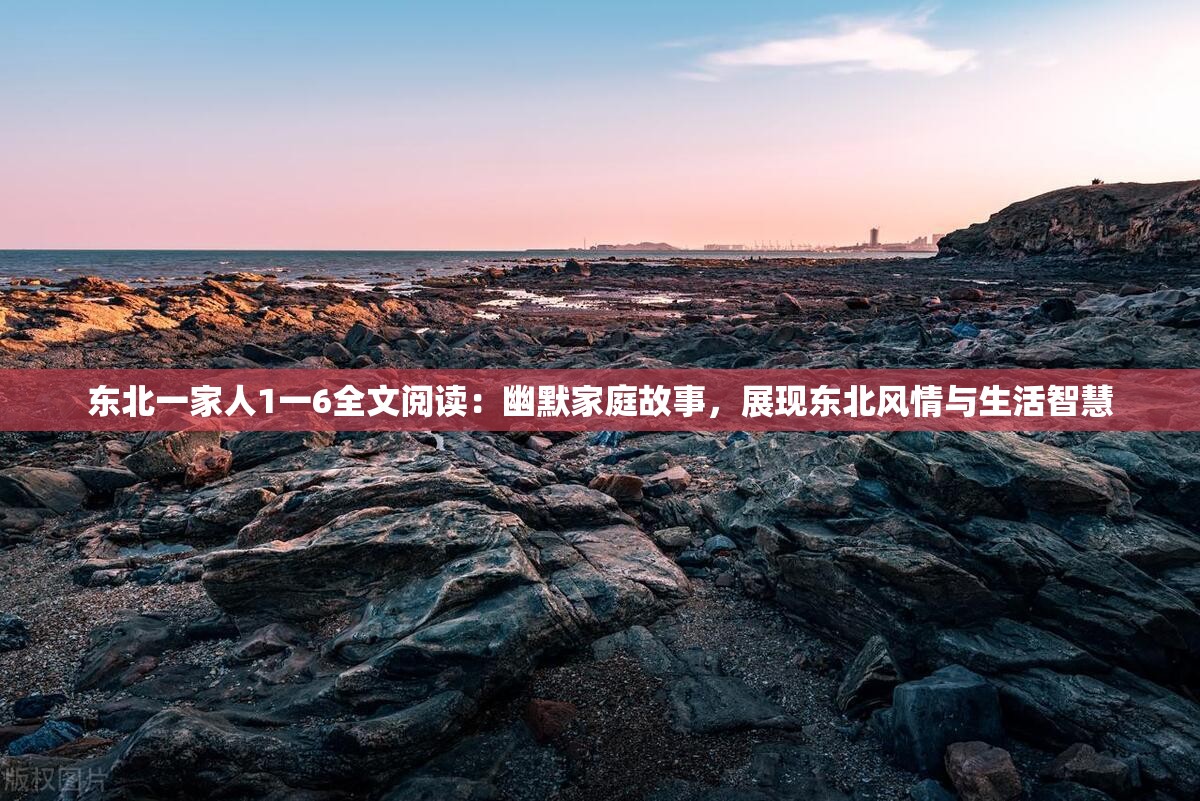 东北一家人1一6全文阅读：幽默家庭故事，展现东北风情与生活智慧
