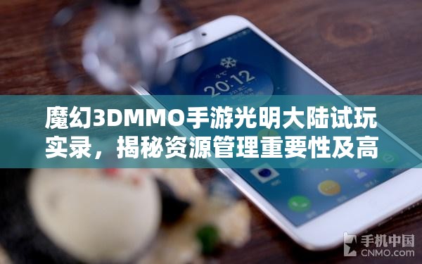 魔幻3DMMO手游光明大陆试玩实录，揭秘资源管理重要性及高效利用策略
