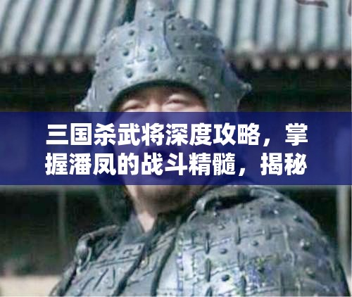 三国杀武将深度攻略，掌握潘凤的战斗精髓，揭秘资源管理的艺术