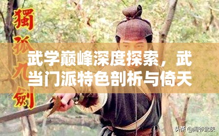 武学巅峰深度探索，武当门派特色剖析与倚天屠龙手游武学心法搭配攻略