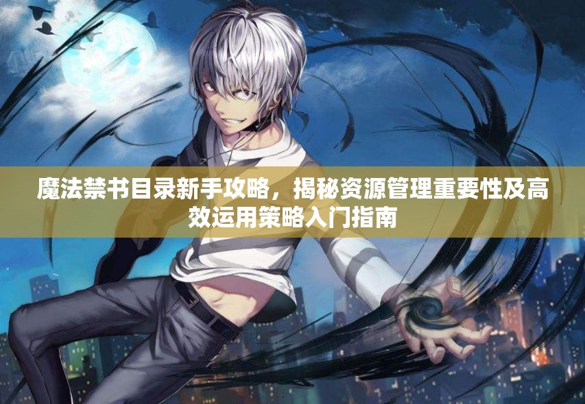 魔法禁书目录新手攻略，揭秘资源管理重要性及高效运用策略入门指南