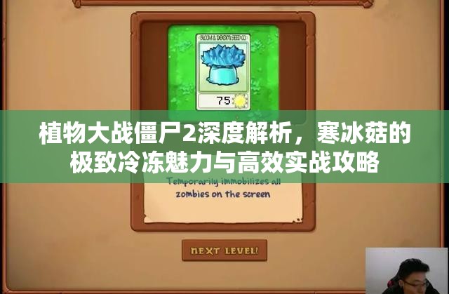 植物大战僵尸2深度解析，寒冰菇的极致冷冻魅力与高效实战攻略
