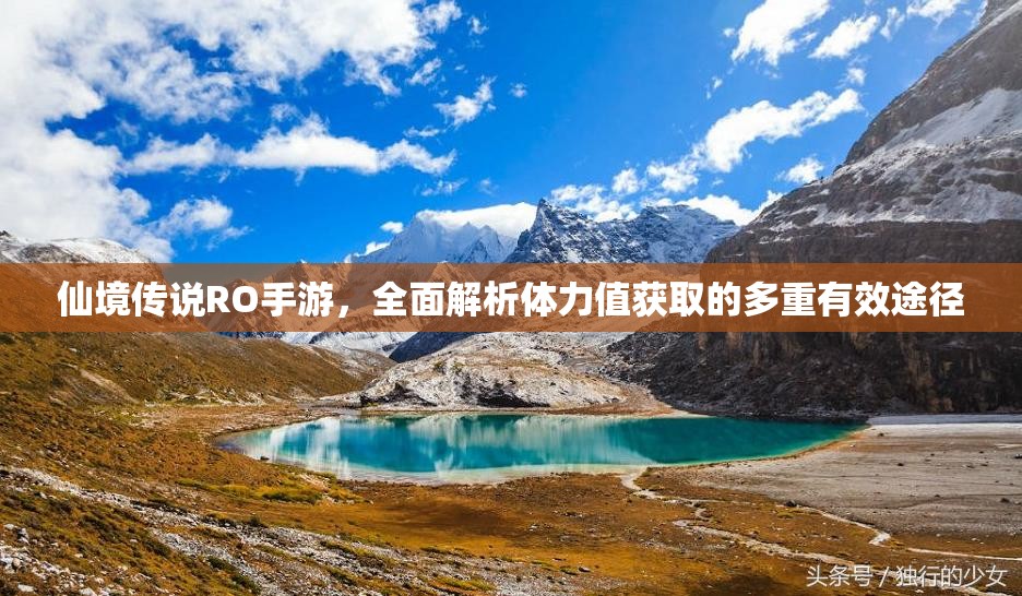 仙境传说RO手游，全面解析体力值获取的多重有效途径