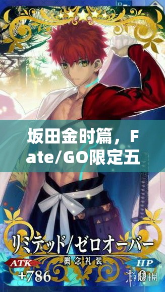 坂田金时篇，Fate/GO限定五星英灵战斗力评分对资源管理的重要性及优化策略探讨